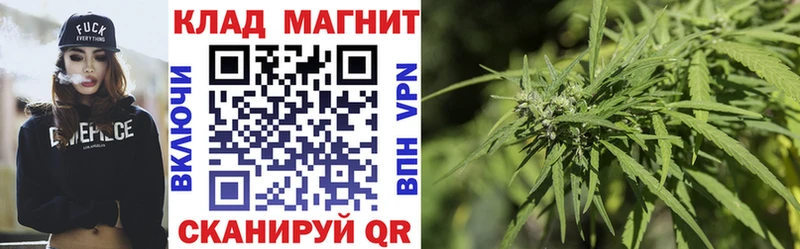 Где купить Зима Alpha PVP  ТГК  МЕФ  Псилоцибиновые грибы 
