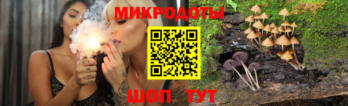 Псилоцибиновые грибы ЛСД  Псилоцибиновые грибы мицелий  Вход с VPN  купить  цена  Зима 